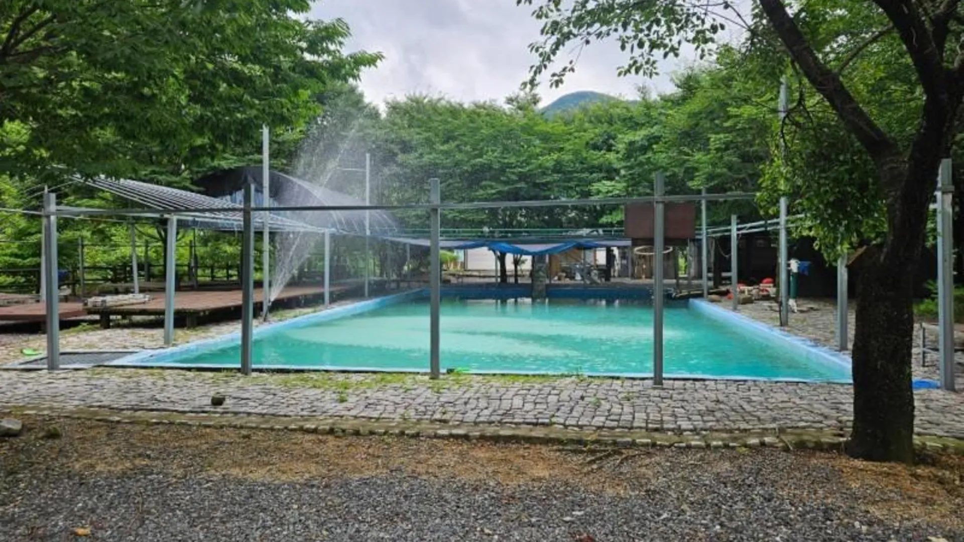 금산군 금산 파랑새펜션 2성급 게스트하우스 로비