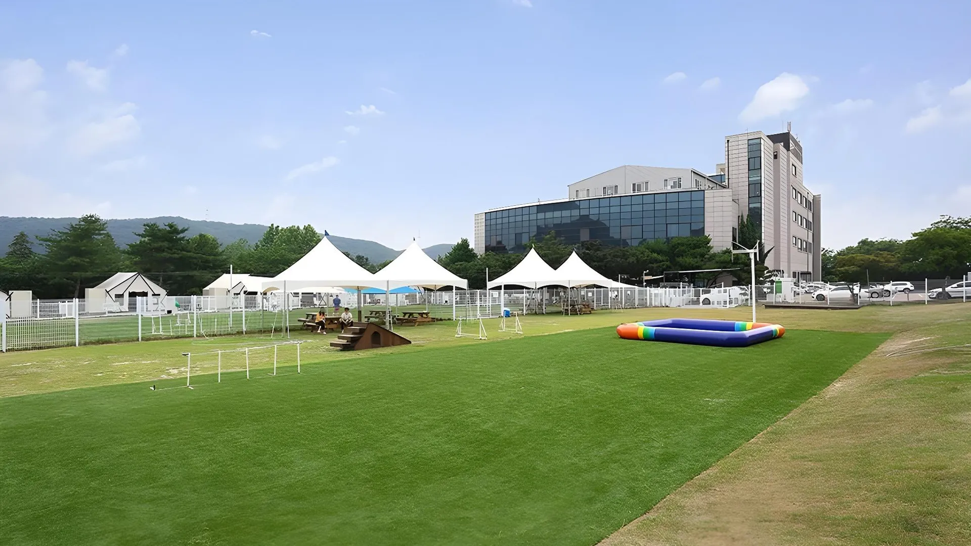 용인 골드 펫 리조트 3성급 게스트하우스 객실