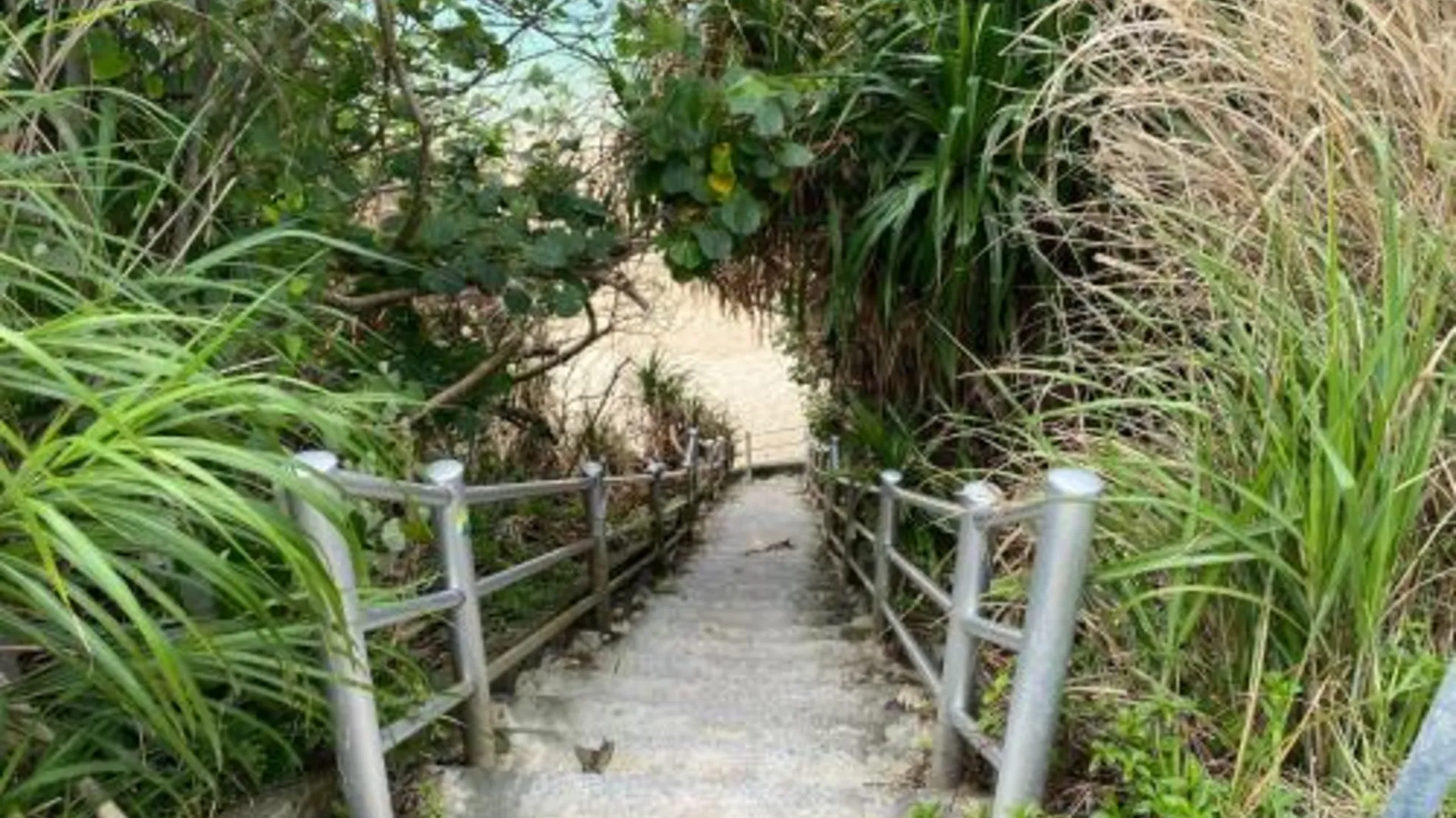 오키나와 본섬 FTH SKY with Large Garden 5 Minutes Walk to Beach 3성급 게스트하우스 객실