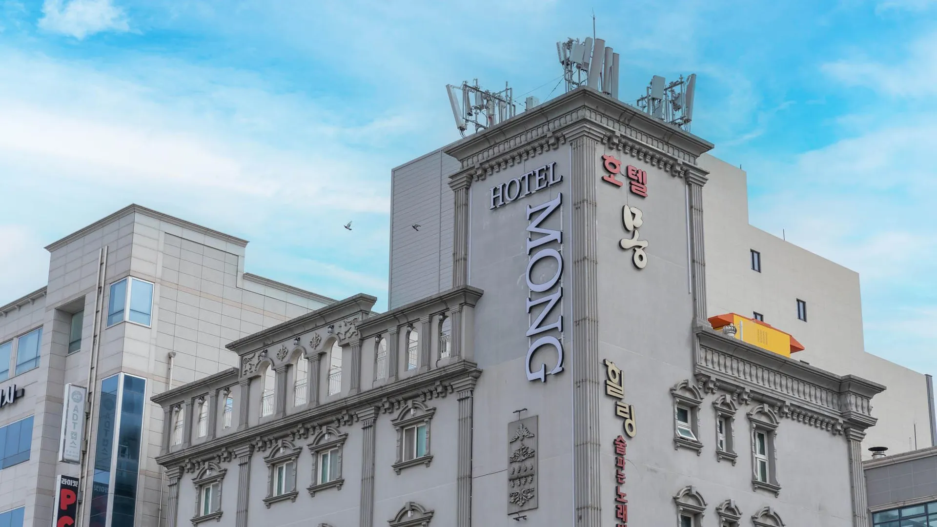 강릉 강릉 호텔몽 호텔 스위트룸