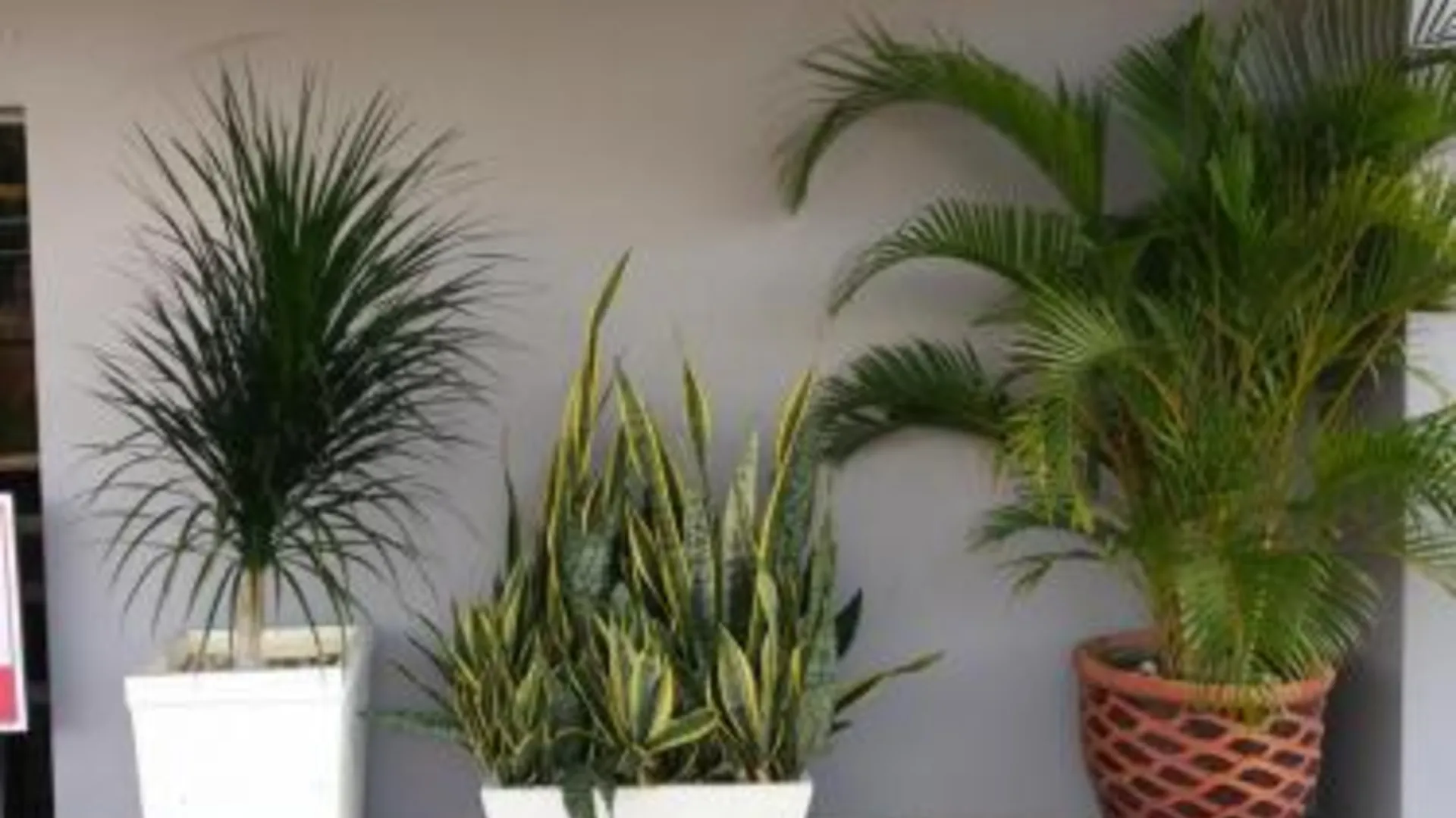 말라카 로터스 인 호텔 2성급 호텔 부대시설