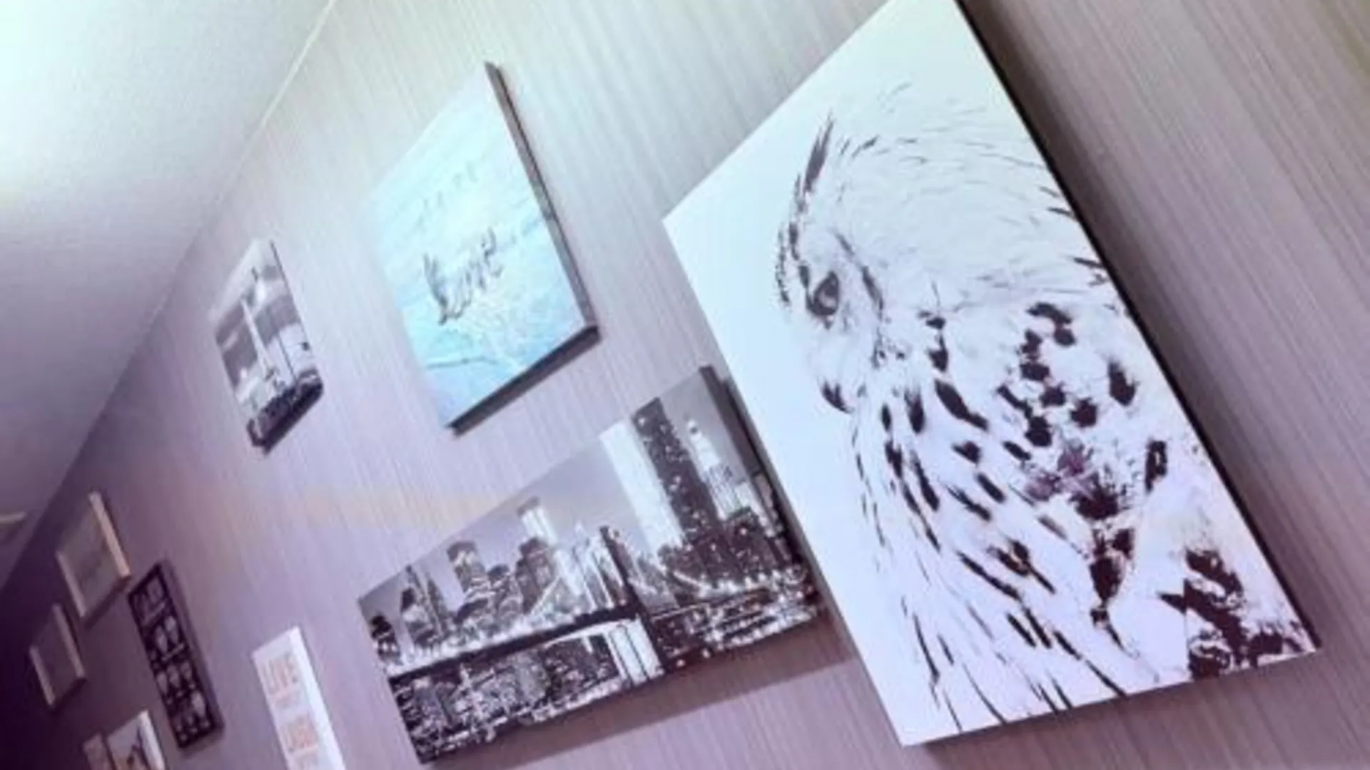 오사카 HOSTEL s 1성급 호텔 스위트룸