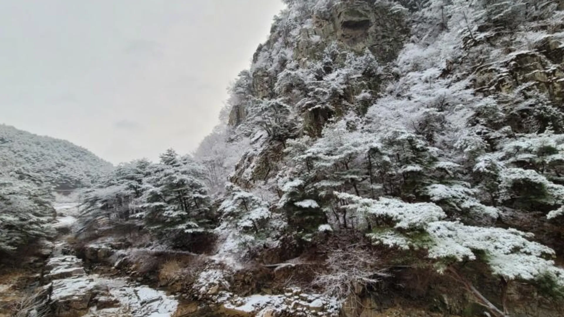 거창 거창 샛담펜션 1성급 게스트하우스 스위트룸