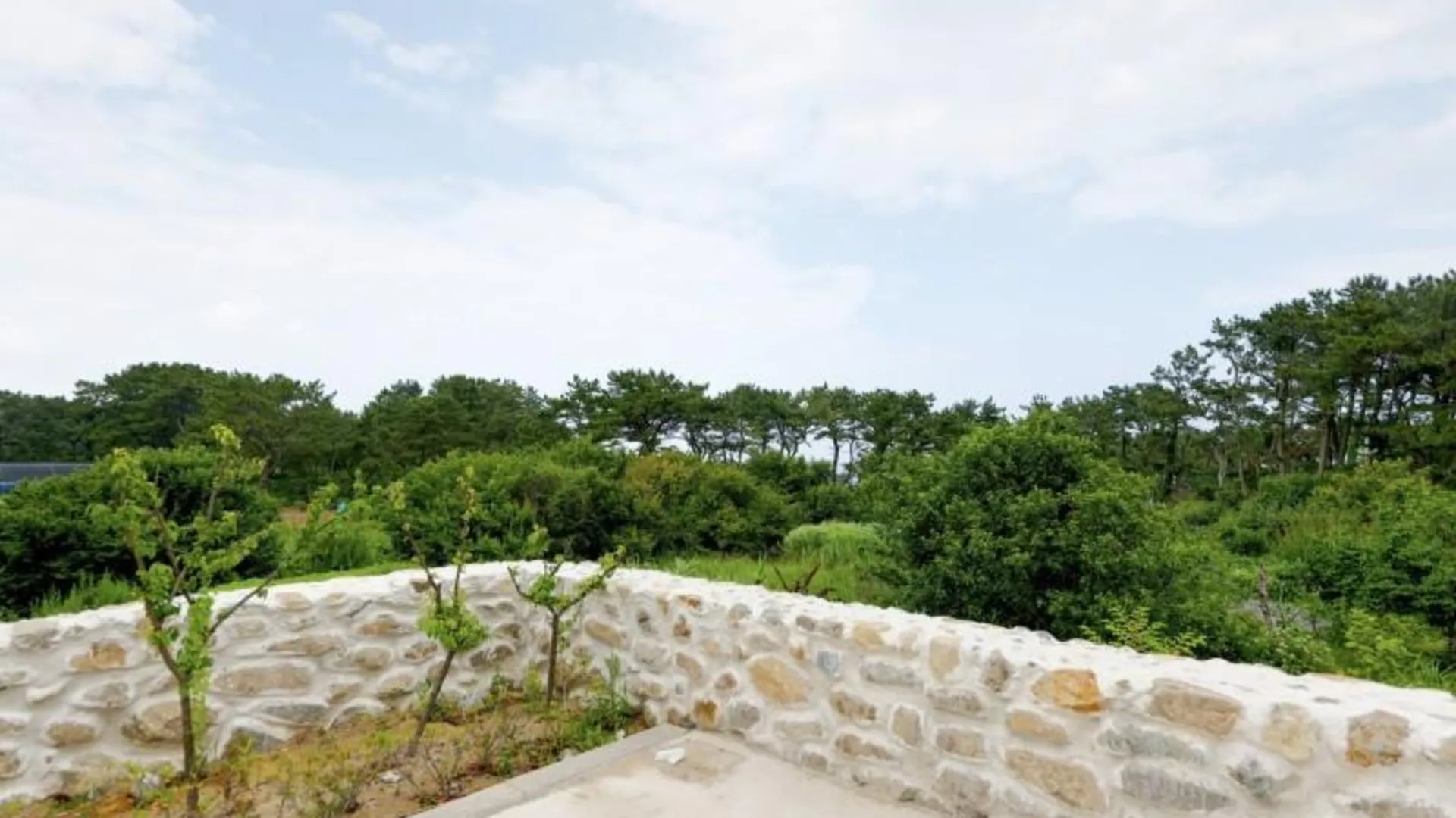 울산 울산 간절곶캠프 카라반&펜션 2성급 게스트하우스 객실