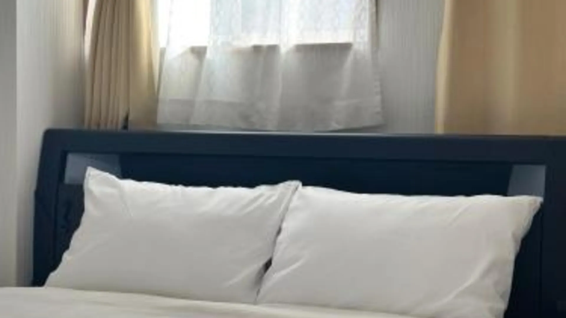 도쿄 / 동경 淺夏館Asakakan 3성급 싱글룸 전망