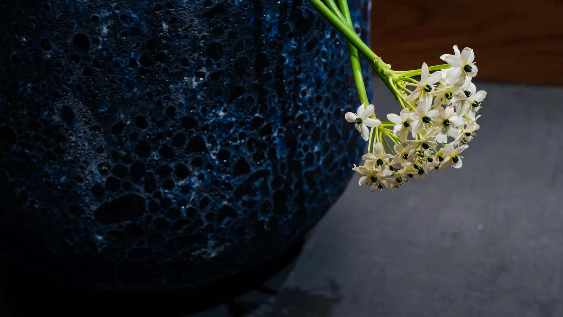 교토 키오리 호텔 타카쿠라 4성급 호텔 전망