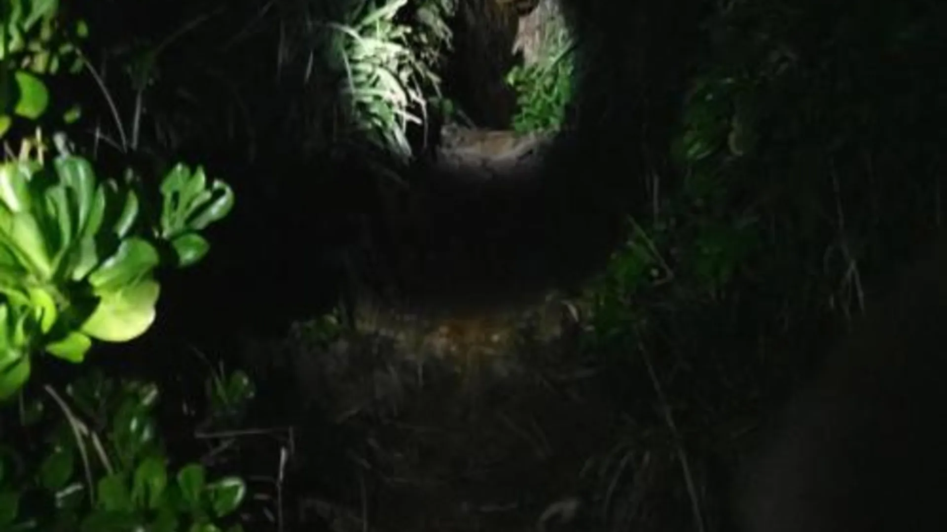 오키나와 본섬 ルナテッラセ 3성급 호텔 부대시설