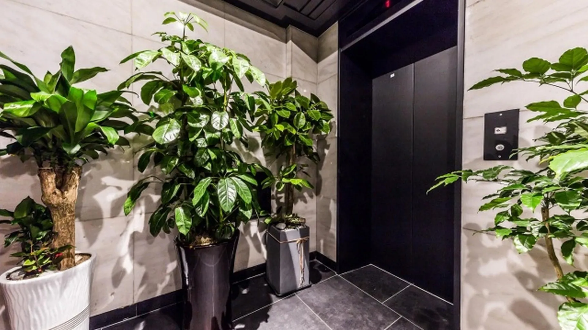 서울 신당 레인보우 호텔 2성급 호텔 수영장