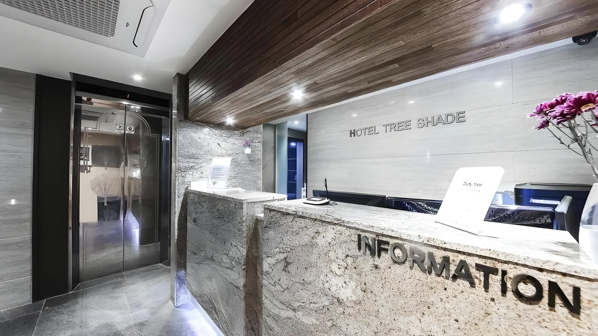 서울 동대문 트리쉐이드 호텔 2성급 호텔 수영장