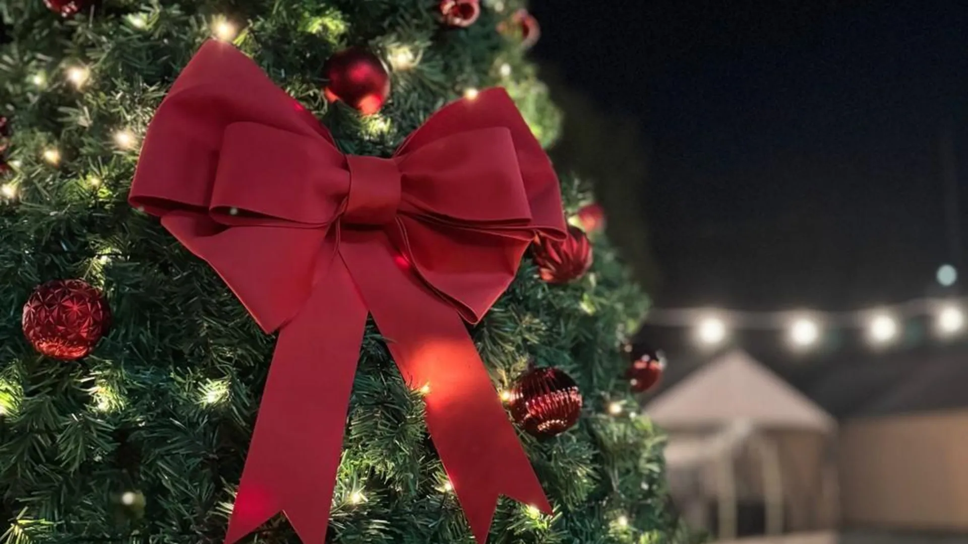 담양 담양 라온 글램핑 2성급 게스트하우스 객실