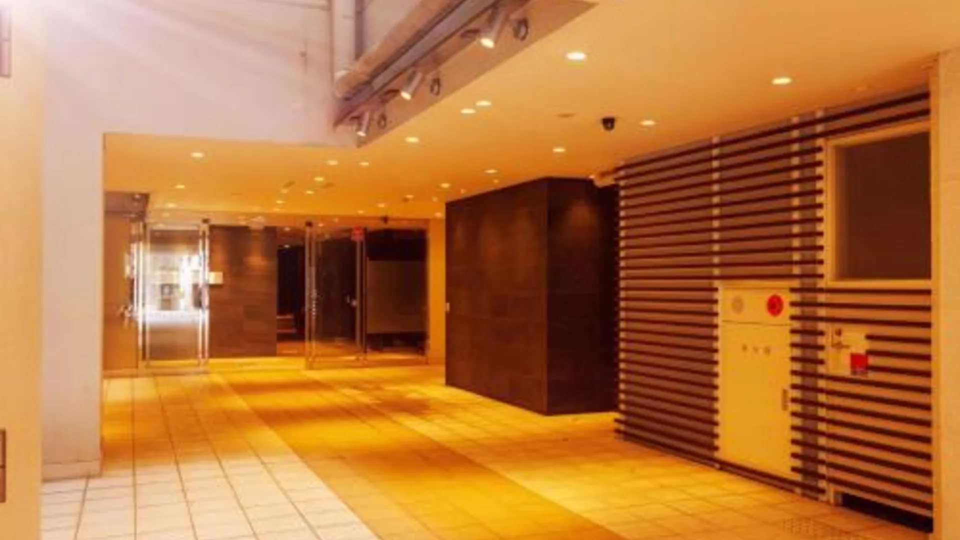 오사카 플로럴호텔 히가시신사이바시 3성급 호텔 수영장