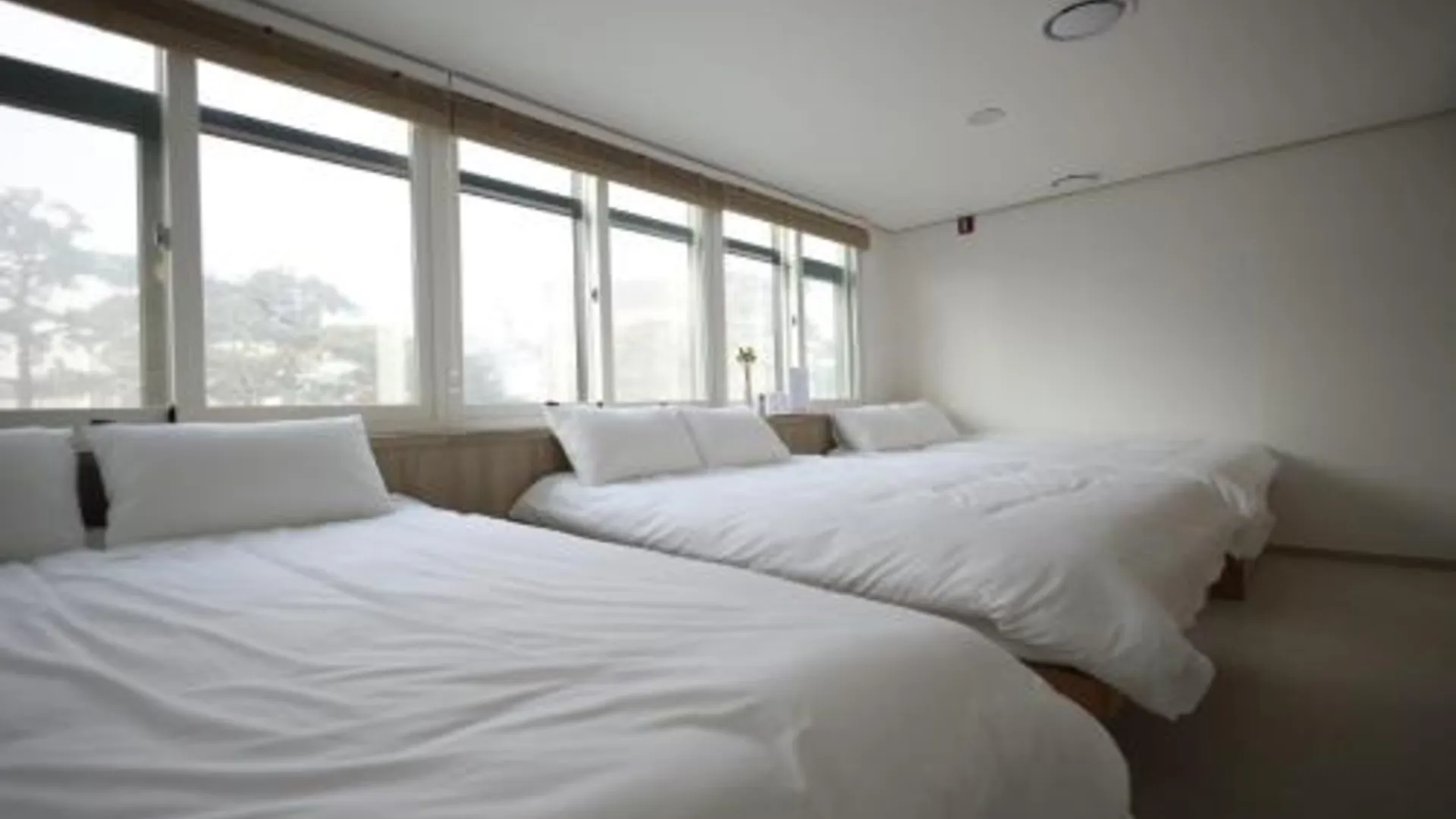 서울 만소 호스텔 in DDP 2성급 호텔 레스토랑