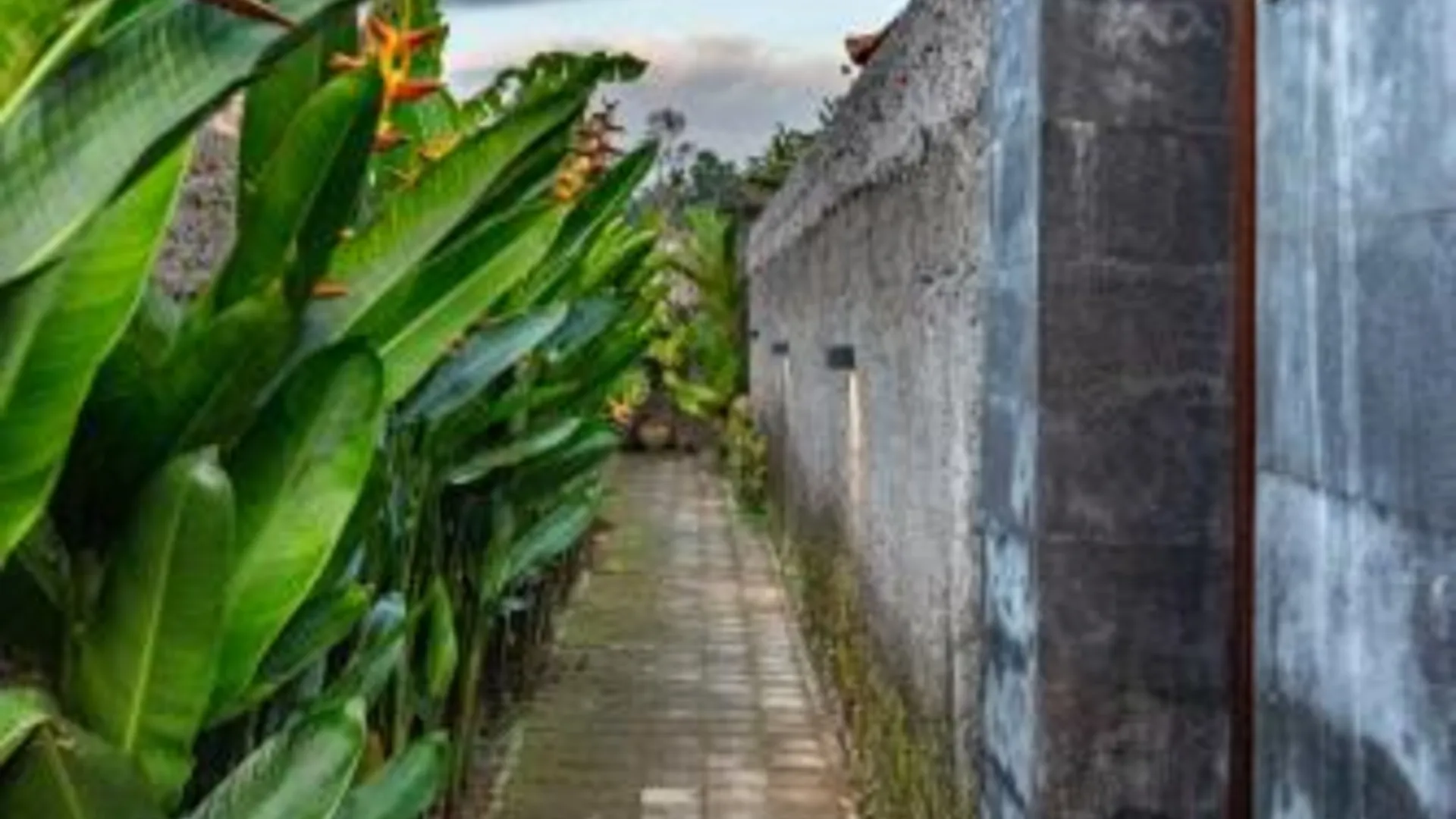 발리 Jatining Ubud Villa & Spa 호텔 전망