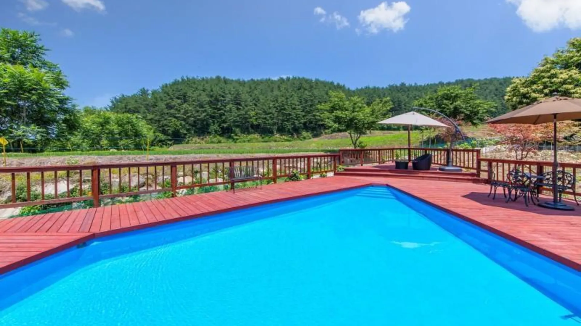 양양 양양 샐비어펜션 2성급 게스트하우스 로비