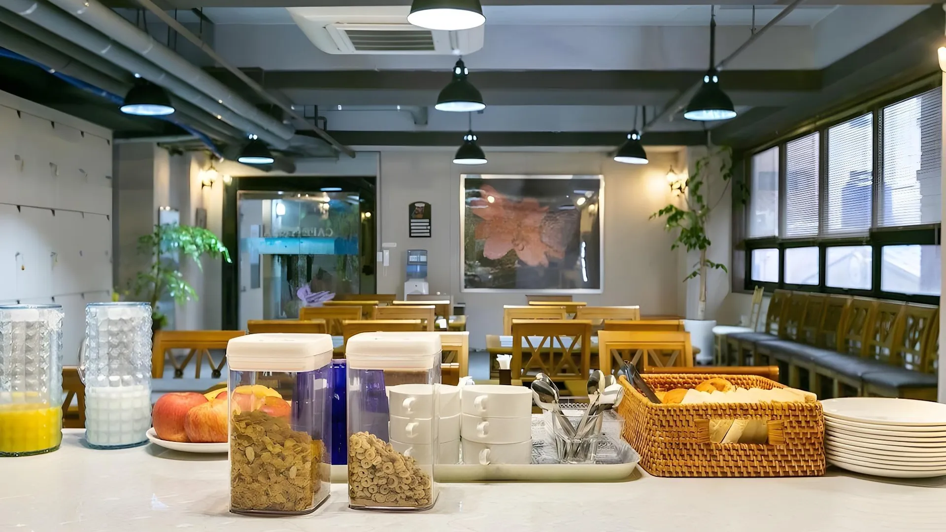 부산 부산 서면 IB 호텔 3성급 호텔 수영장