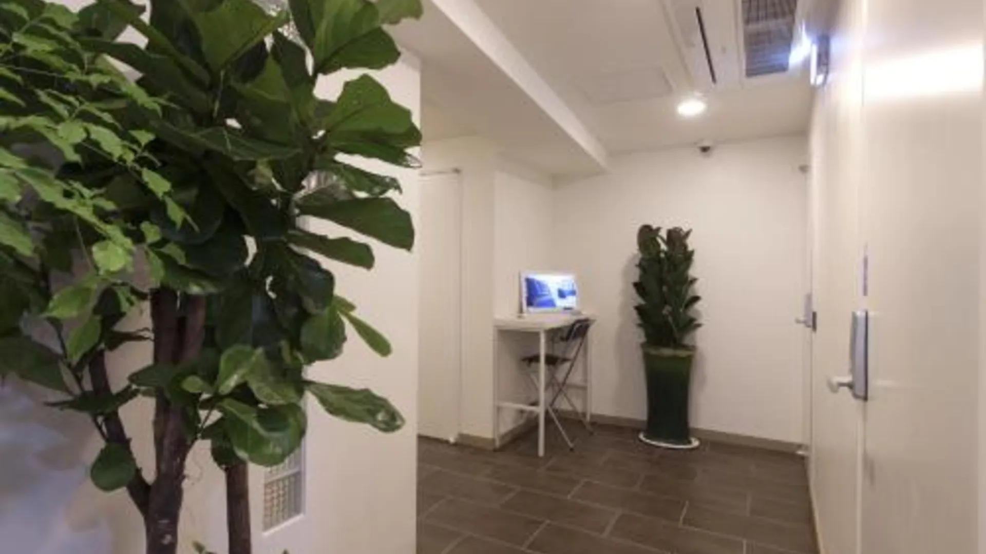 서울 K-게스트하우스 명동 1 1성급 호텔 객실