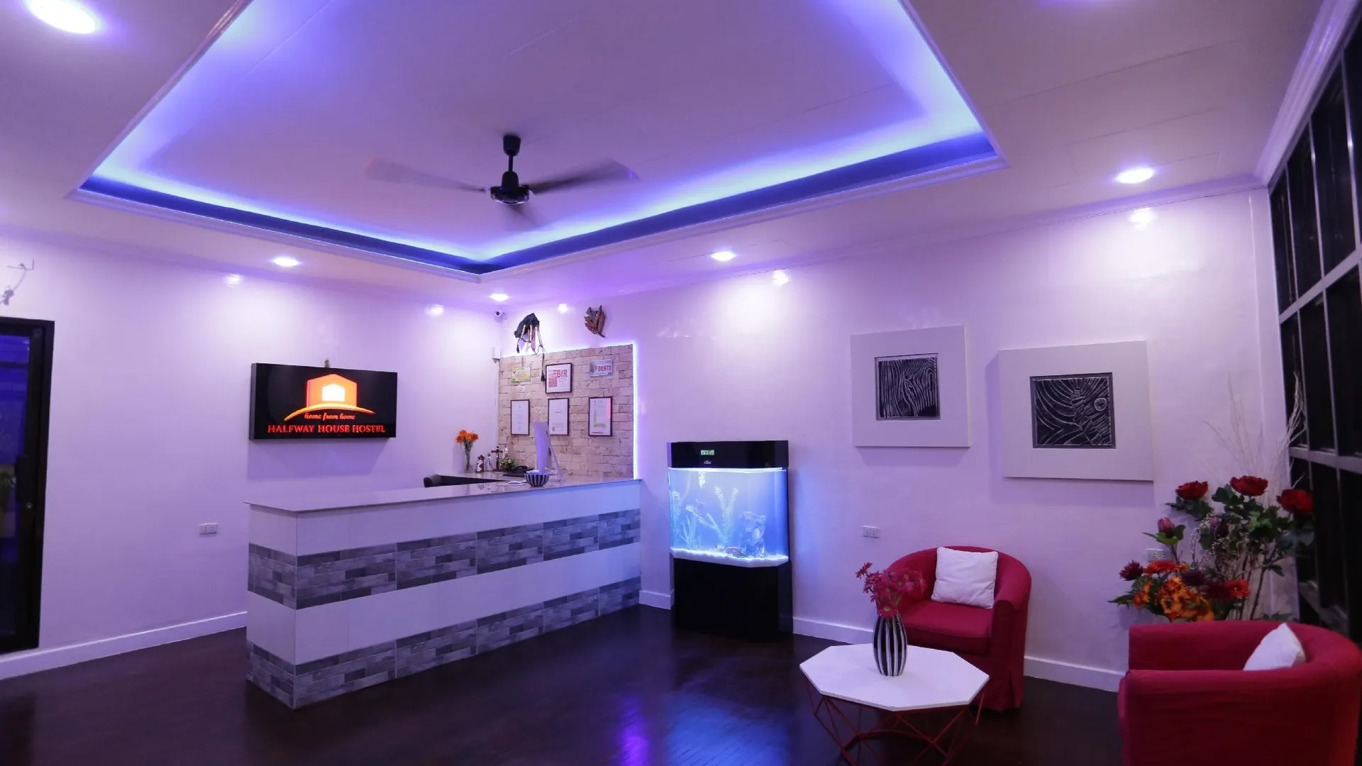 세부 하프웨이 하우스 호스텔  3성급 게스트하우스 로비