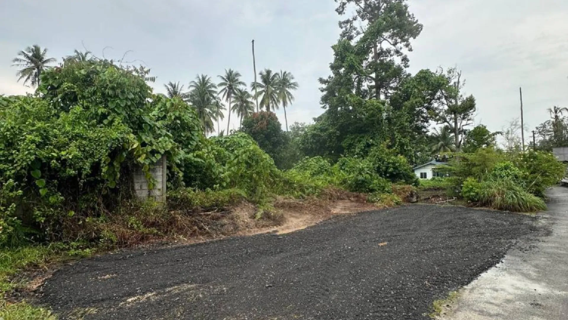 메르싱 반다르 머싱의  (620m², 침실 1개, 프라이빗 욕실 1개) 호텔 객실