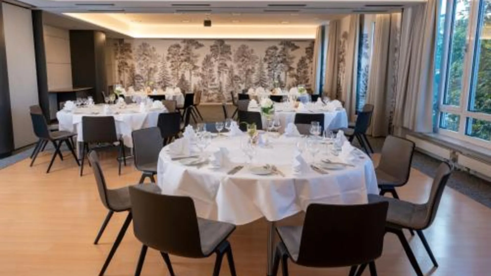 진델핑겐 Erikson Hotel 4성급 호텔 부대시설