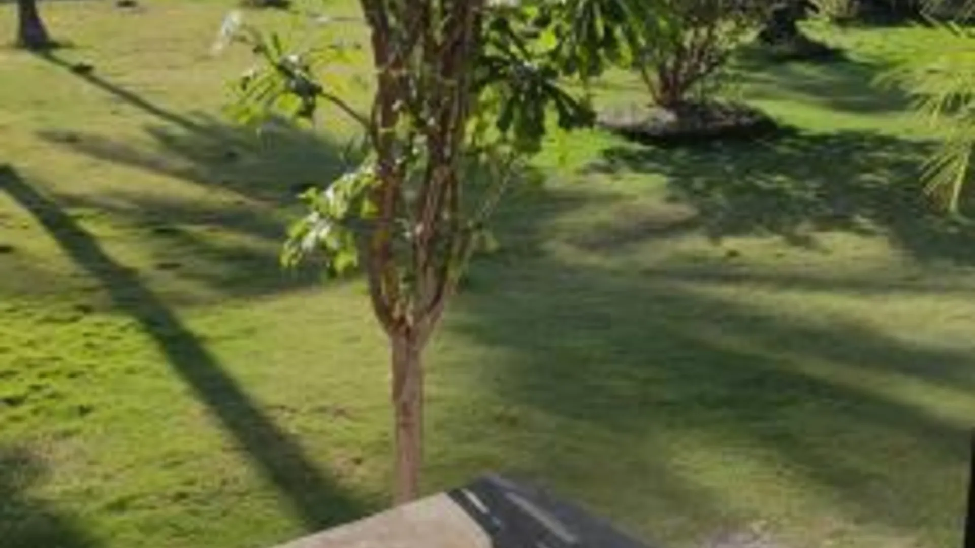 세부 알로하 2성급 호텔 전망