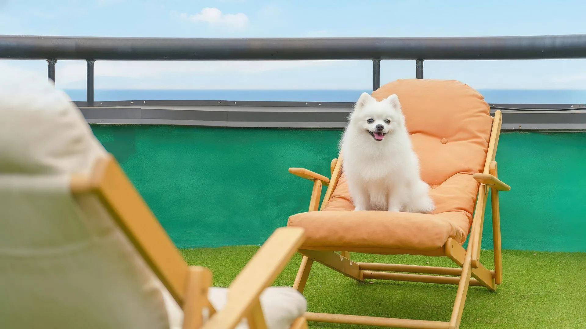 강릉 강릉 퍼니 단체 펜션 4성급 게스트하우스 객실