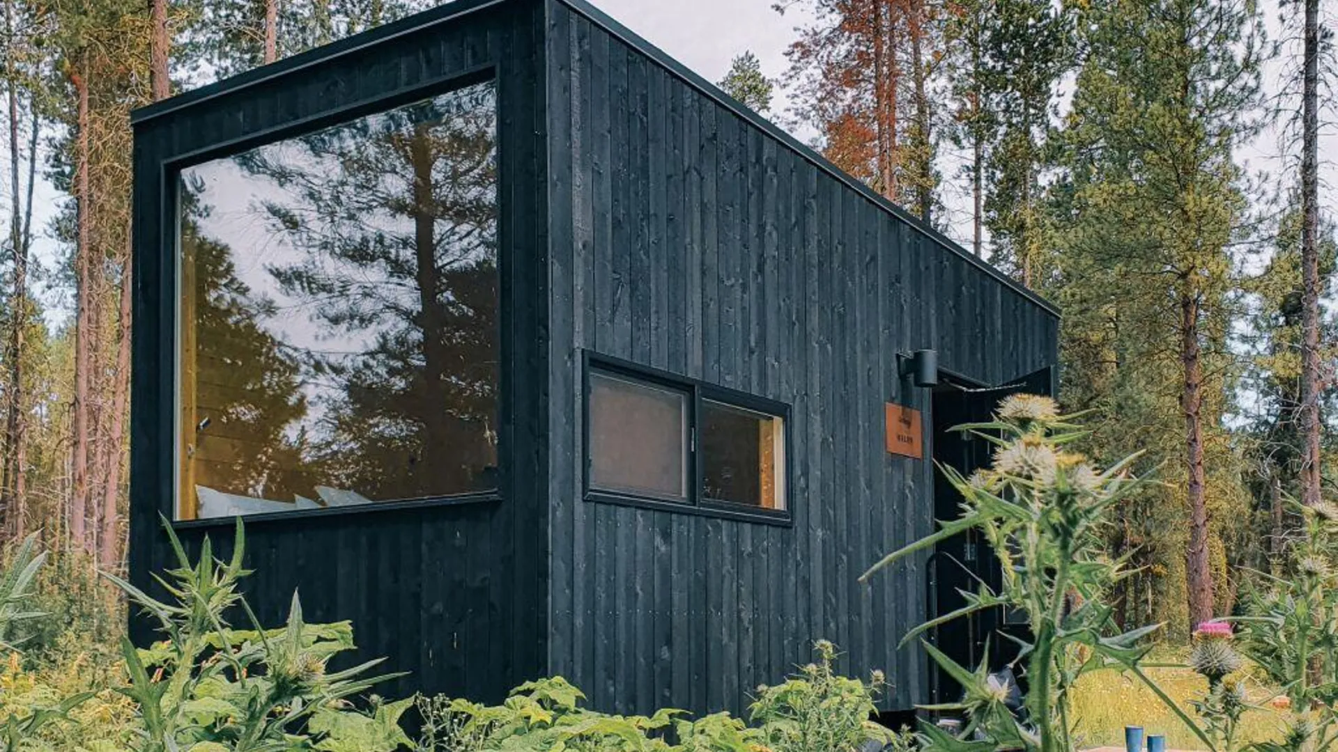 엡섬 Postcard Cabins Blake Brook, Outdoor Collection by Marriott Bonvoy 2성급 게스트하우스 수영장