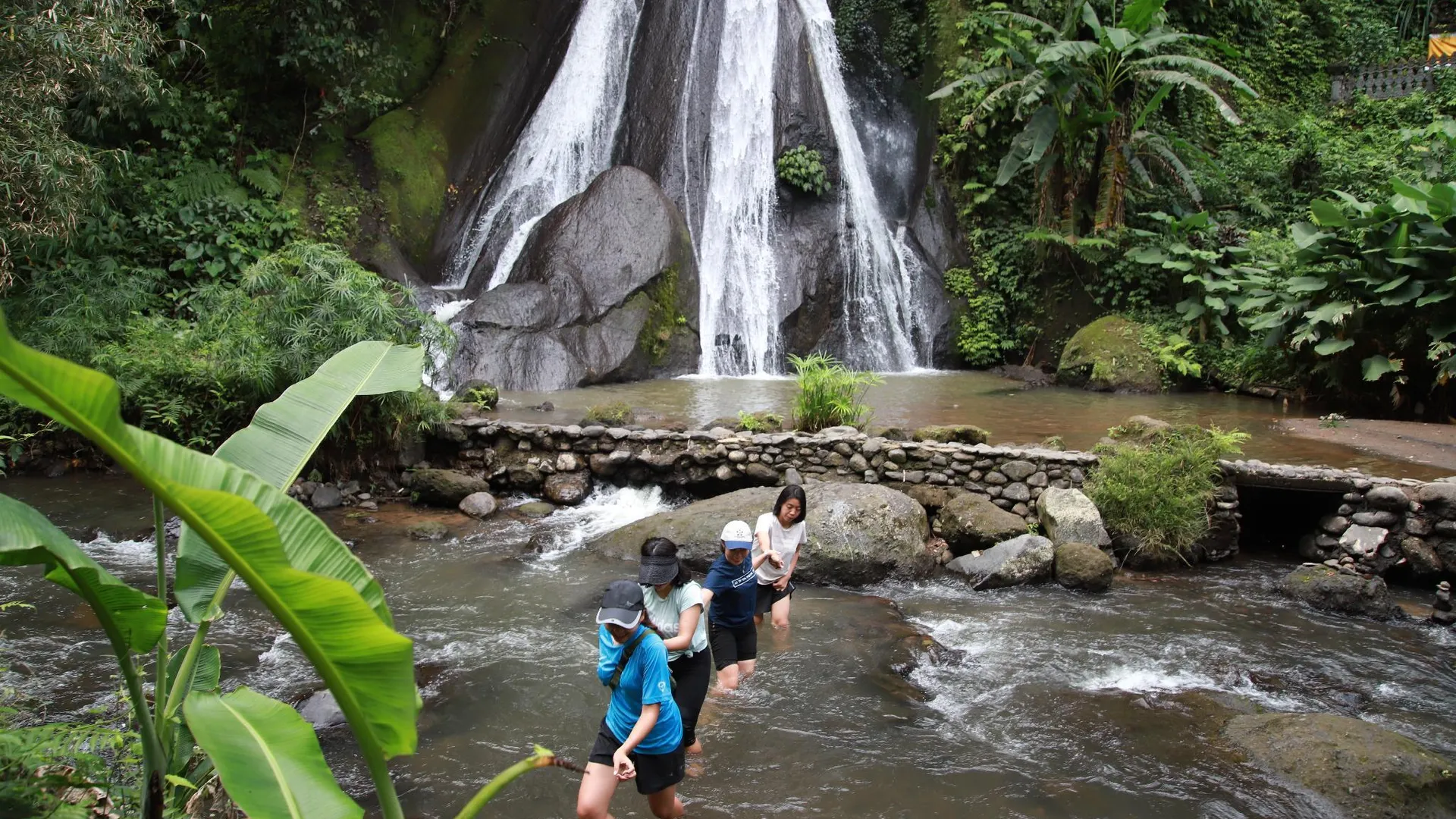 발리 빠양안 / 파양안의 프라이빗 하우스 (500m², 침실 3개, 프라이빗 욕실 3개) 3성급 싱글룸 레스토랑