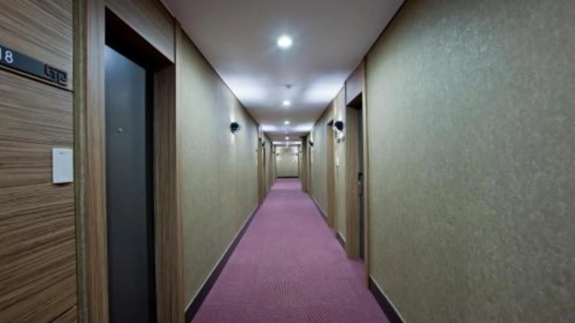 서울 센트럴 관광 호텔 3성급 호텔 수영장