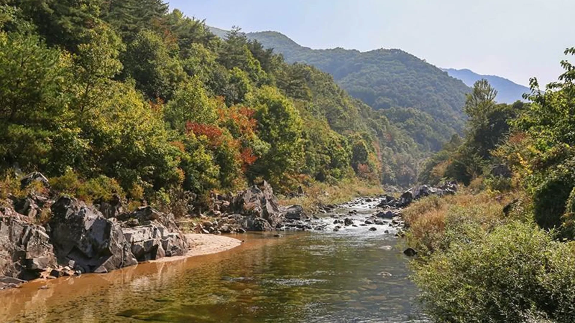 단양 단양 단양팔경펜션 2성급 게스트하우스 레스토랑