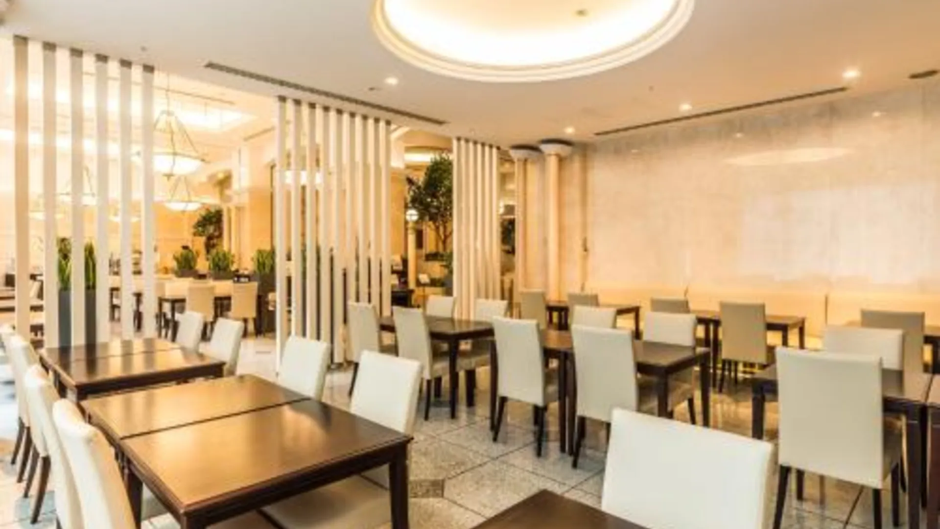 도쿄 / 동경 호텔 마이스테이 프리미어 오모리 4성급 호텔 수영장