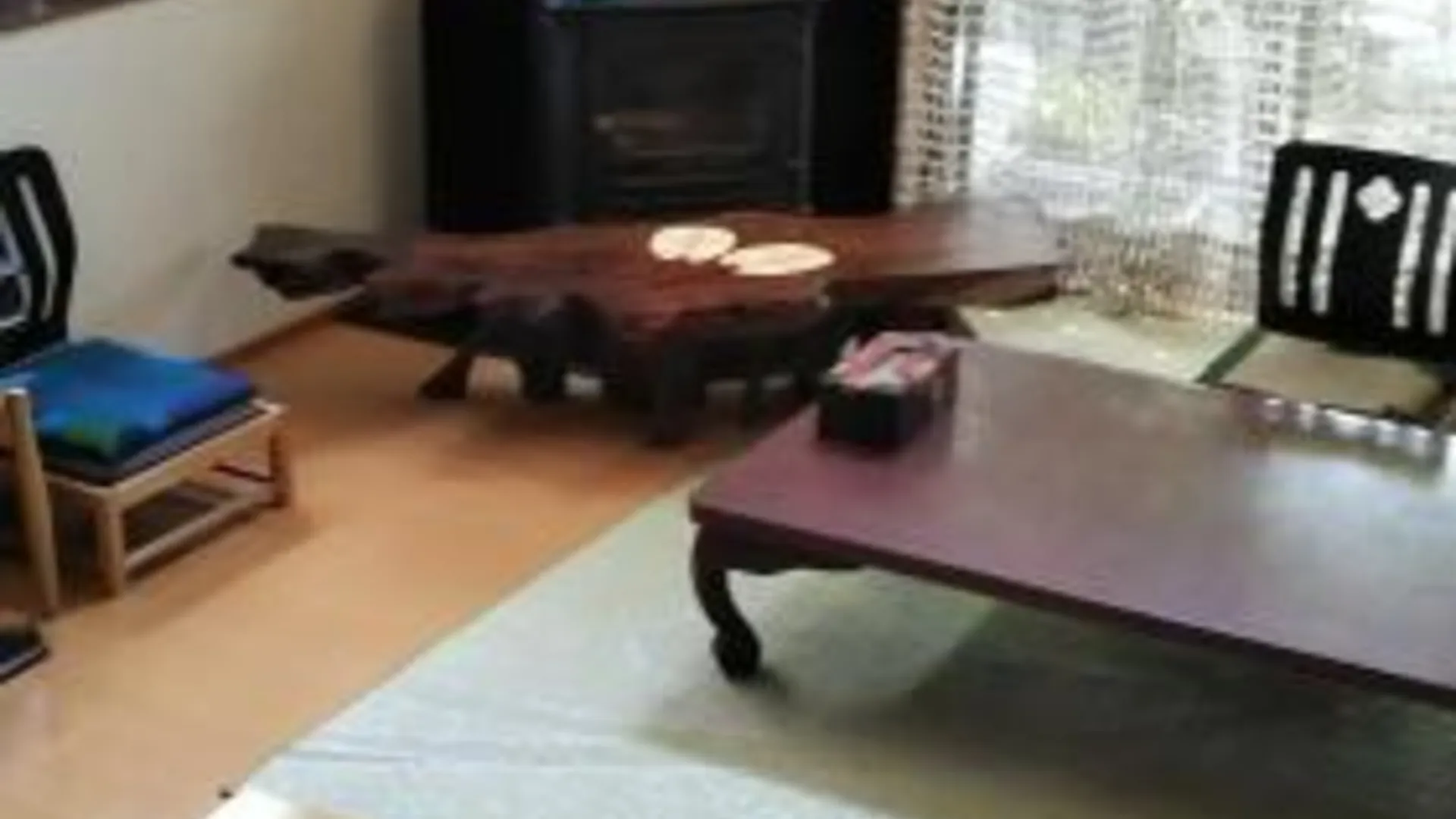 교토 Kyoto Narutaki Keisenso 1성급 호텔 객실