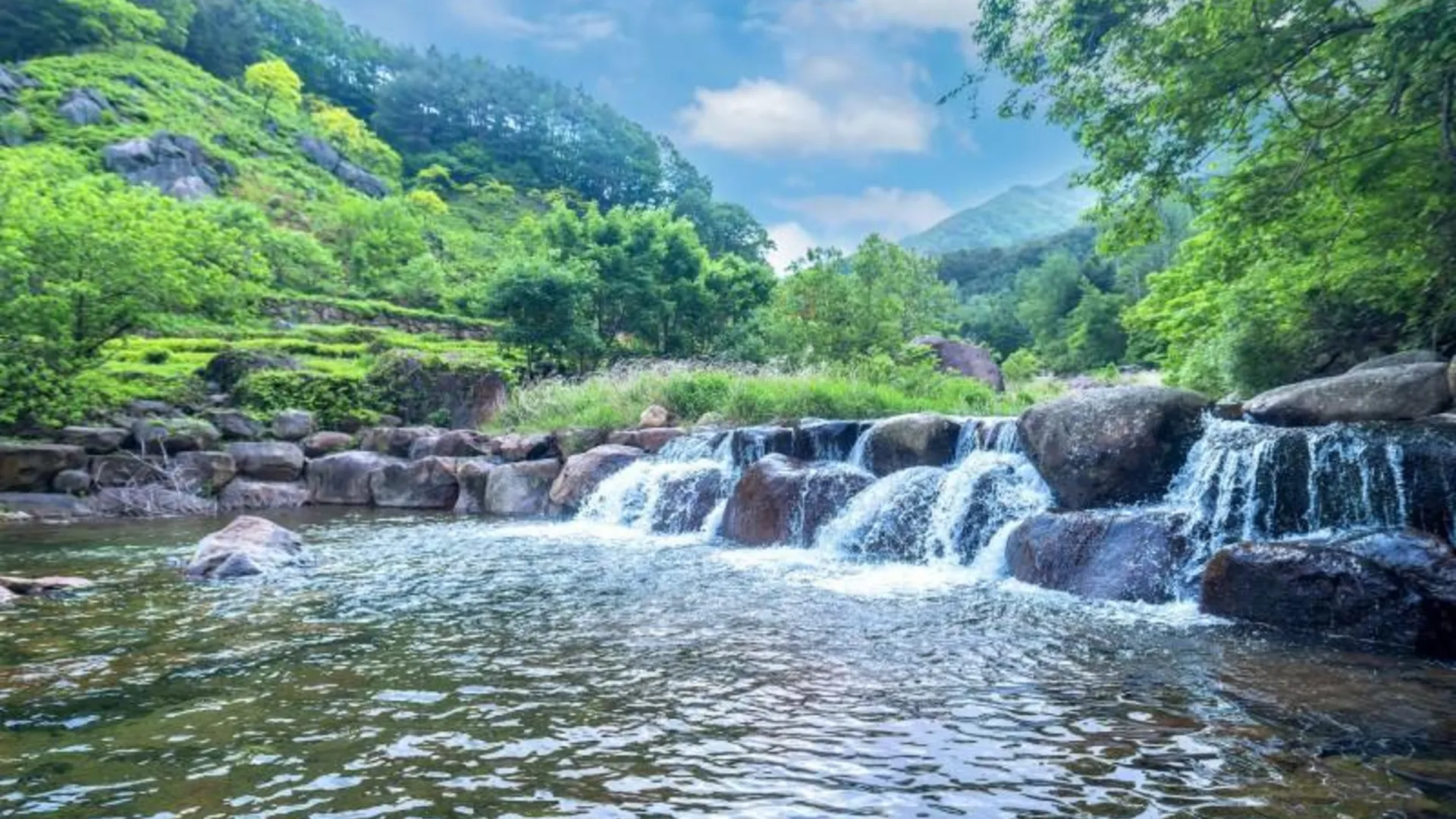 하동 하동 알프스동화펜션 3성급 게스트하우스 부대시설