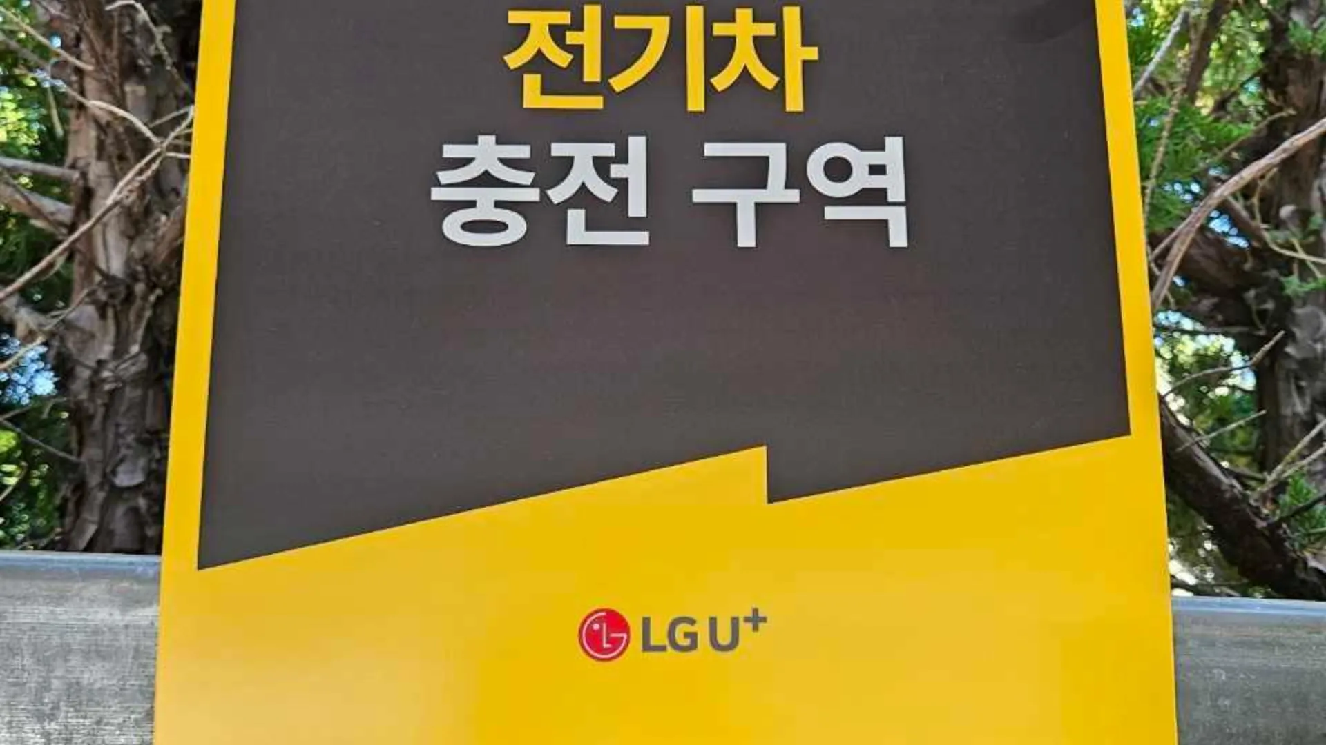 울산 울산 정자동 베니스 2성급 호텔 수영장