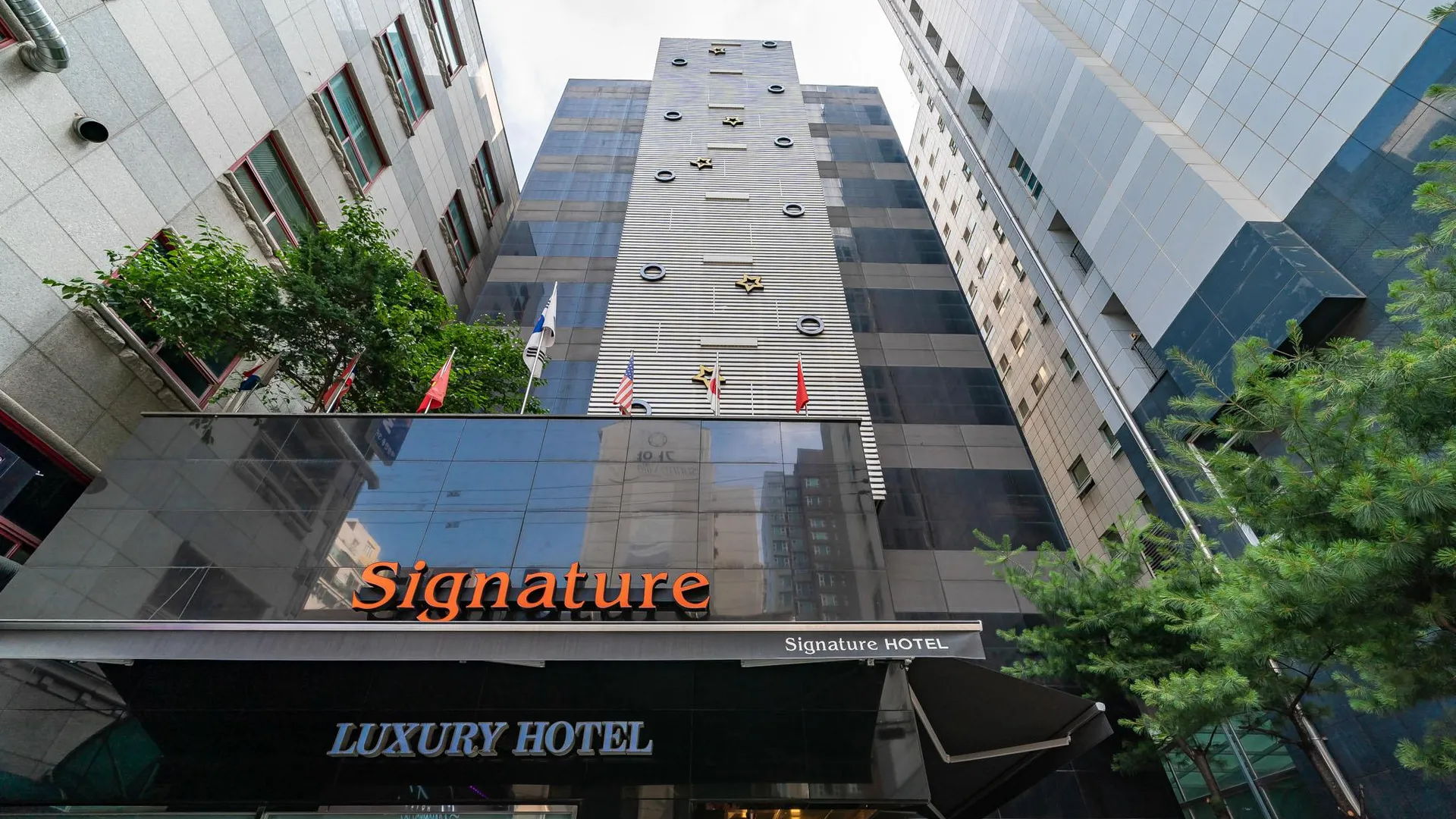 서울 동대문 시그니처 관광호텔 1성급 호텔 객실