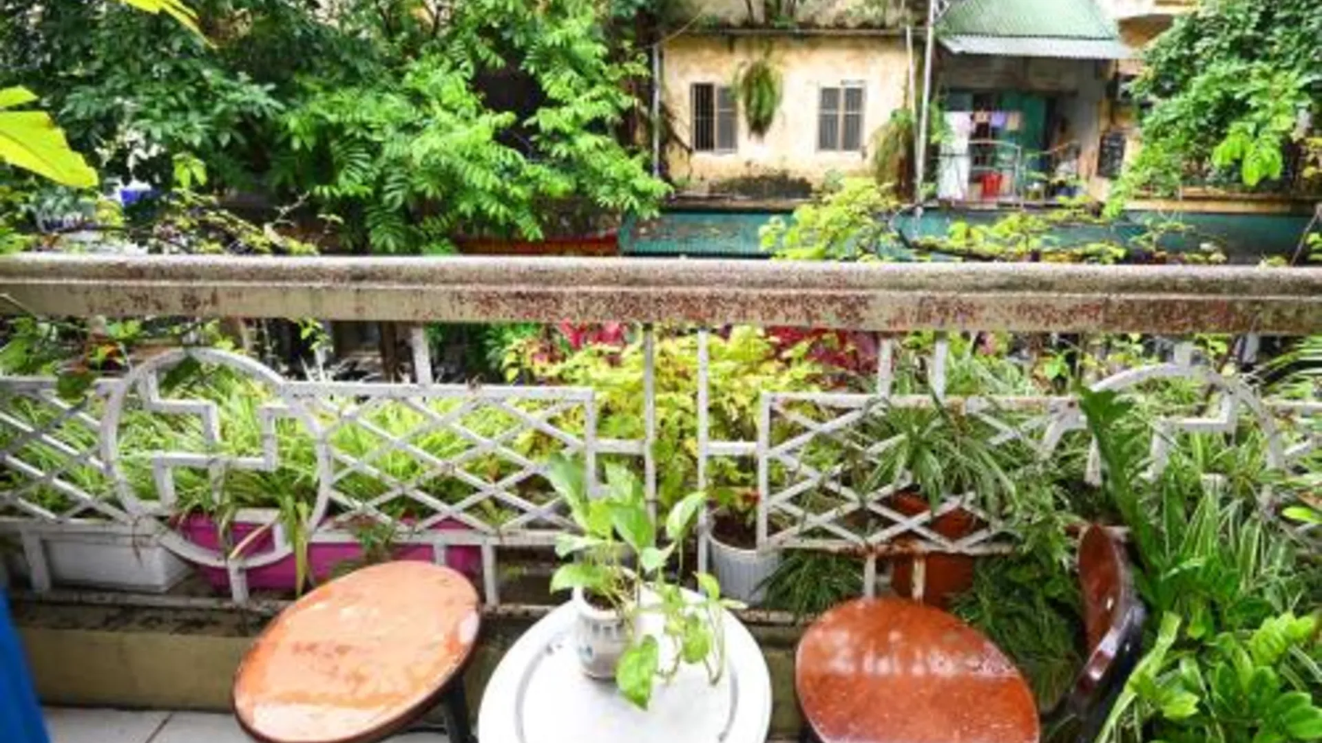 하노이 써니 하노이 홈스테이 2성급 게스트하우스 수영장