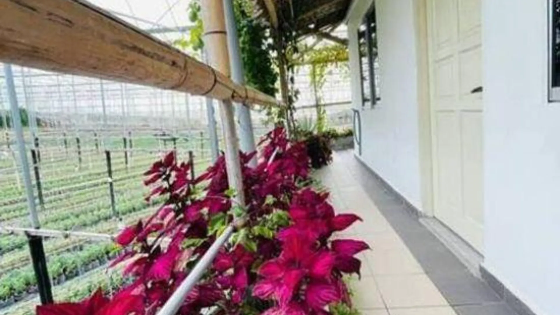 카메론 하일랜즈 Cameron Farm House 3성급 호텔 레스토랑