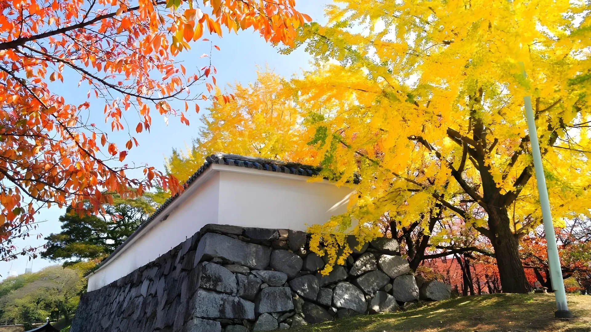 후쿠오카 보시 하카타 2 4성급 호텔 레스토랑