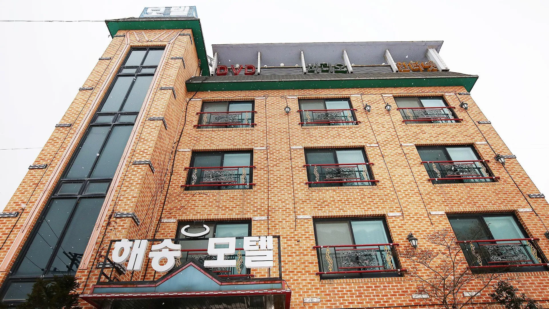 태안 안면도 해송 호텔 전망