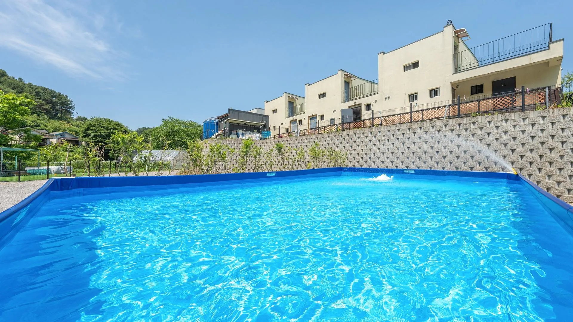 가평 가평 딩동댕 애견 스파 풀빌라 3성급 게스트하우스 로비