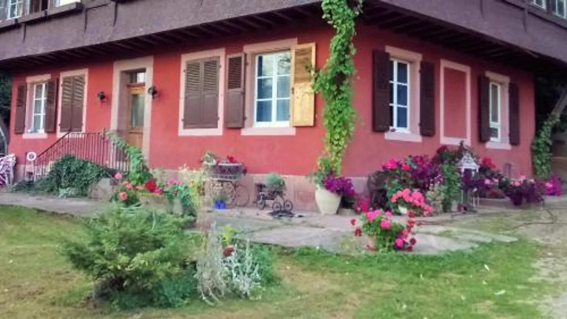 묑스테르 Gîte "Cadichon" 4성급 싱글룸 객실