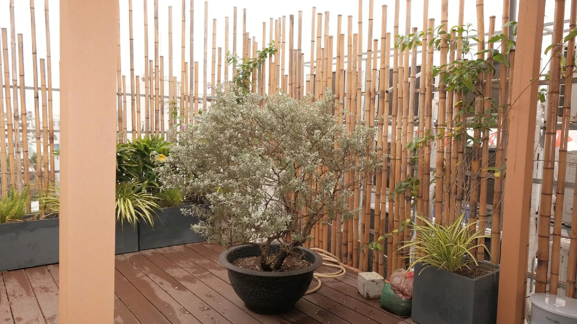 다낭 룬 부티크 아파트먼트 다낭 4성급 호텔 레스토랑