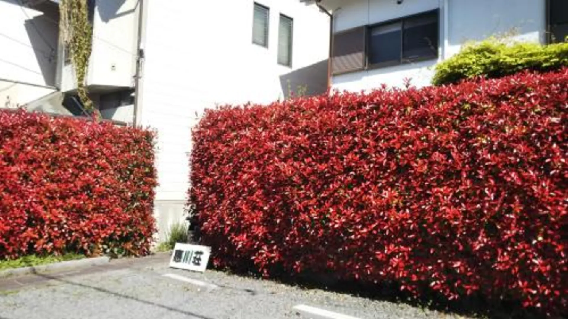 교토 Kyoto Narutaki Keisenso 1성급 호텔 레스토랑