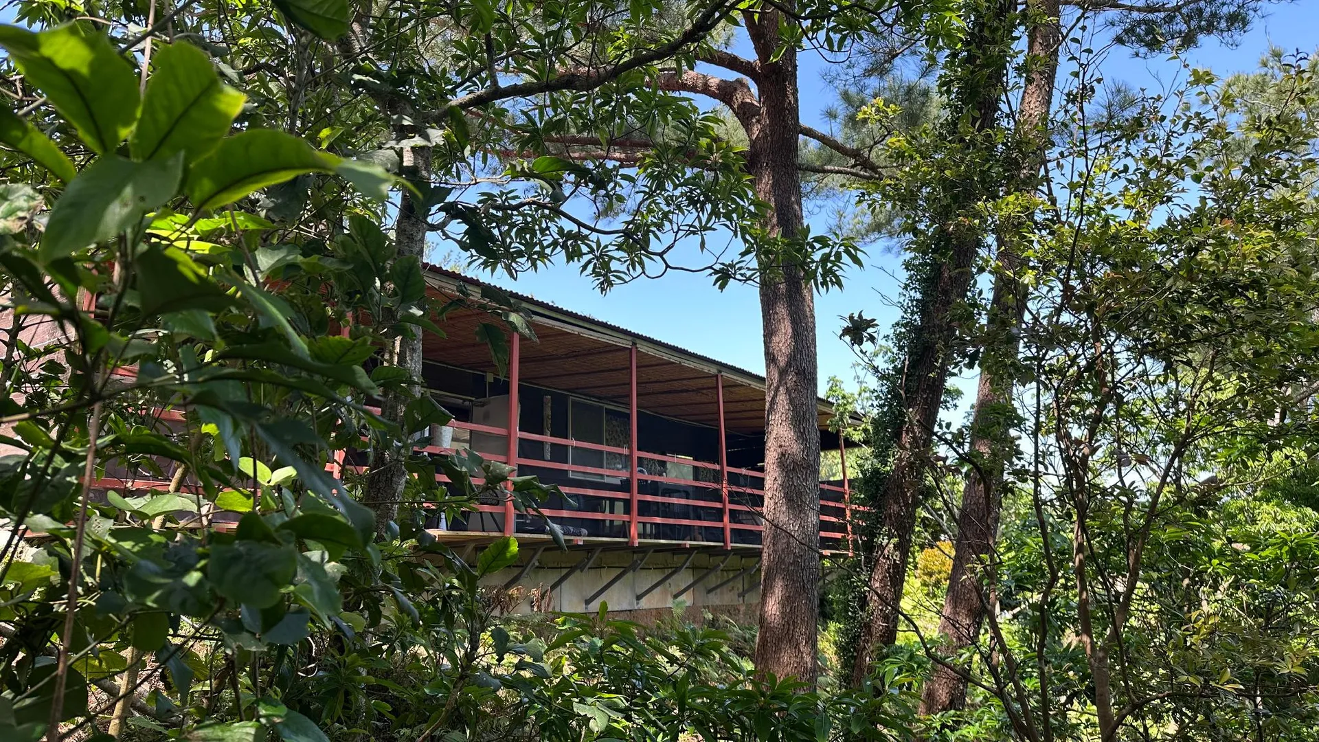 오키나와 본섬 나고의  (14.5m², 침실 1개, 프라이빗 욕실 1개) 3성급 싱글룸 외관