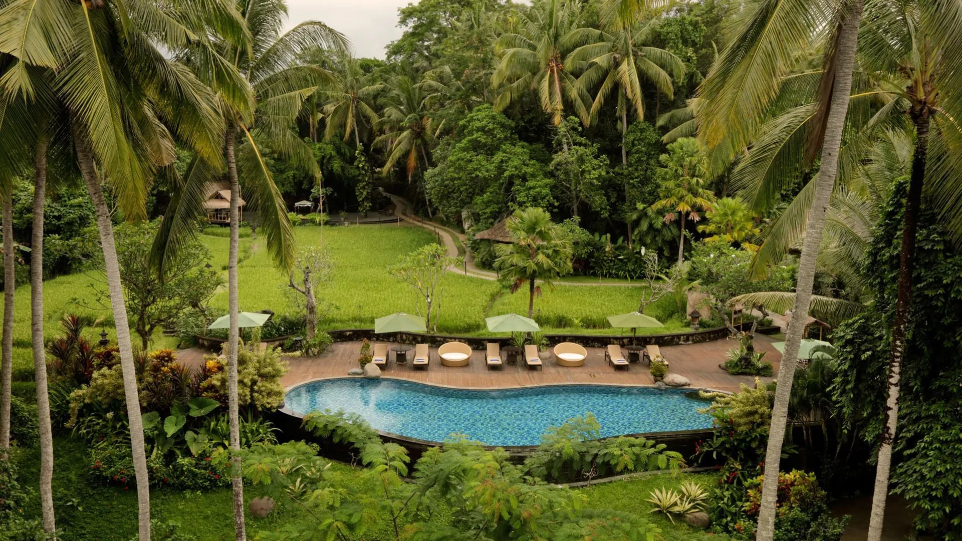 발리 플라타란 우붓 호텔 앤 스파 5성급 호텔 객실