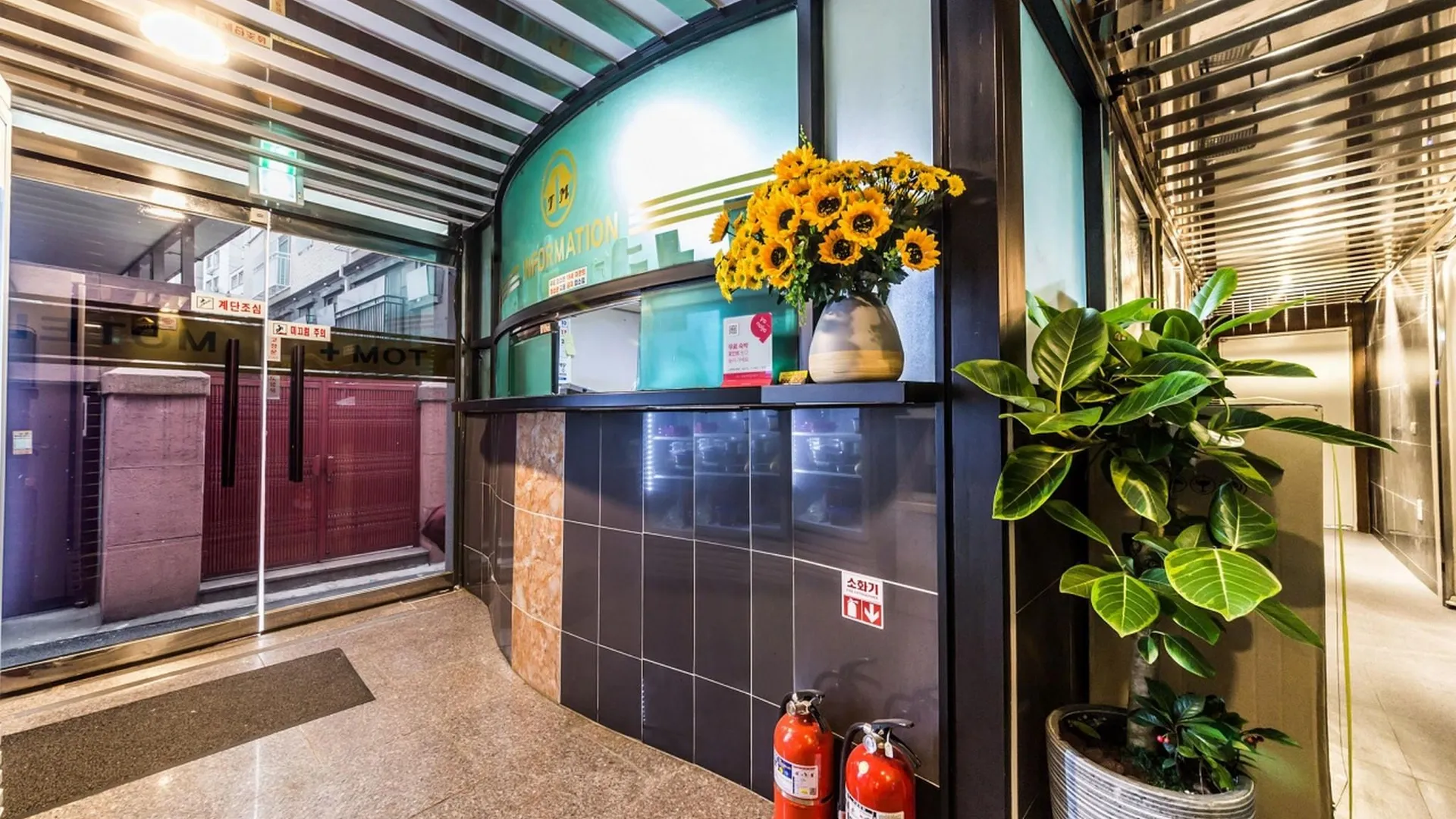 서울 불광 톰플러스 2성급 호텔 로비