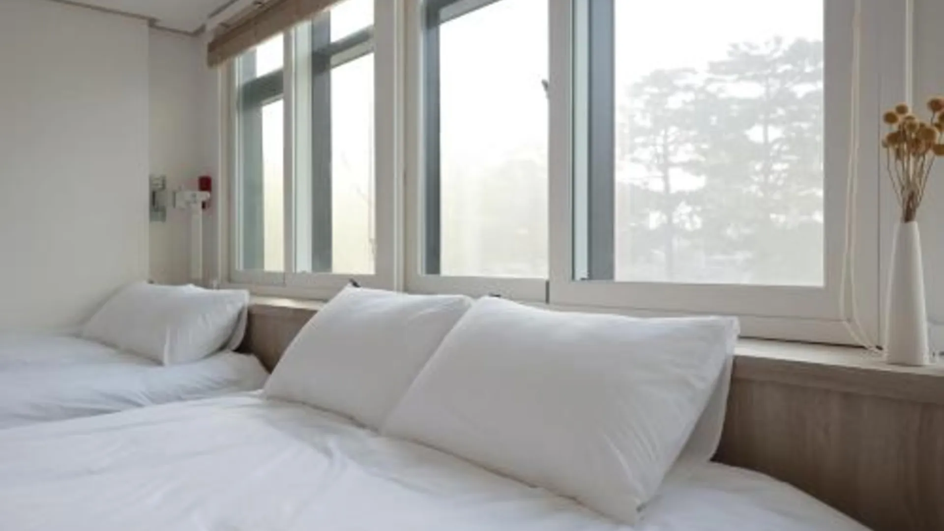 서울 만소 호스텔 in DDP 2성급 호텔 객실