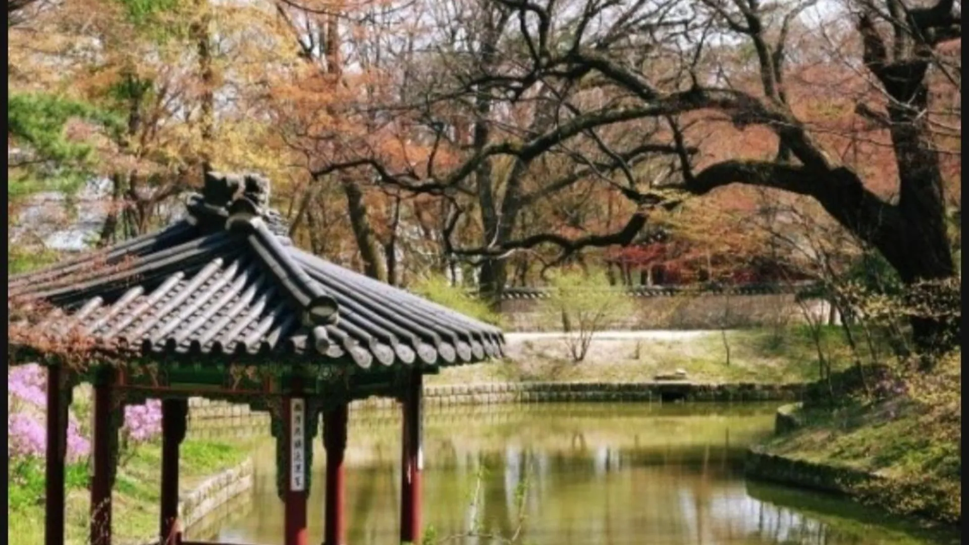 서울 종로 호텔 준오 2성급 호텔 전망