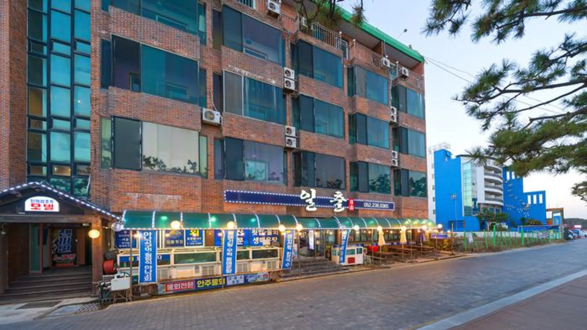 울산 Jinha Resort 1성급 게스트하우스 수영장