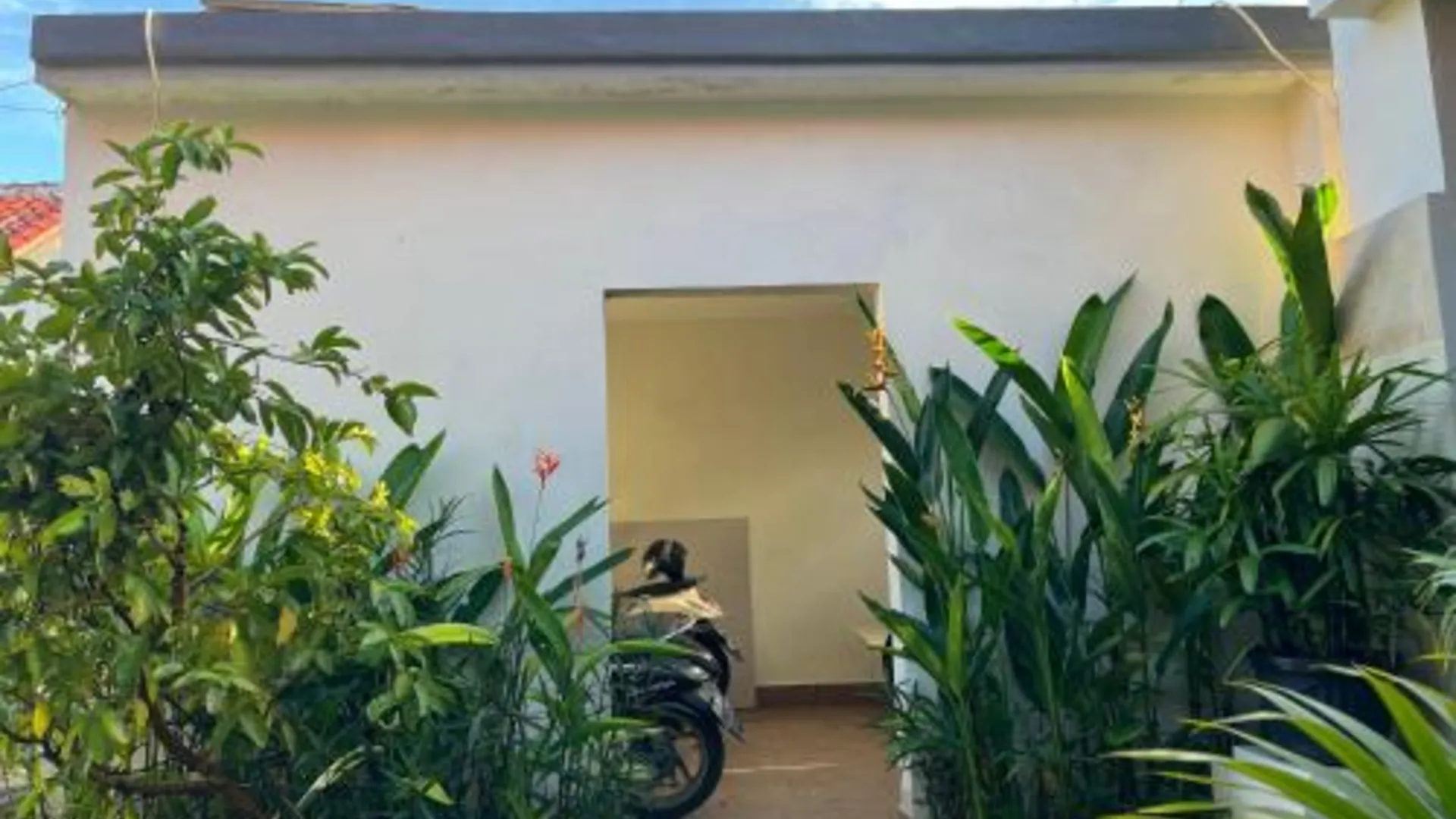 발리 Kubu In Dhana Guest House 2성급 싱글룸 레스토랑