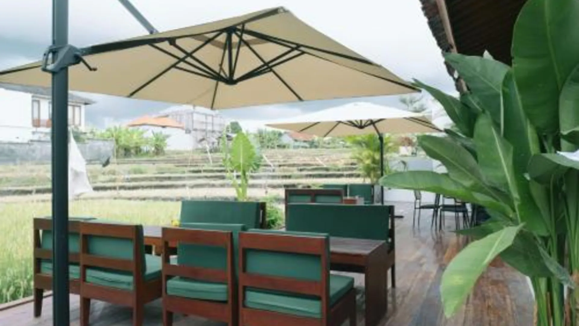 발리 더 백야드 짱구 4성급 호텔 외관